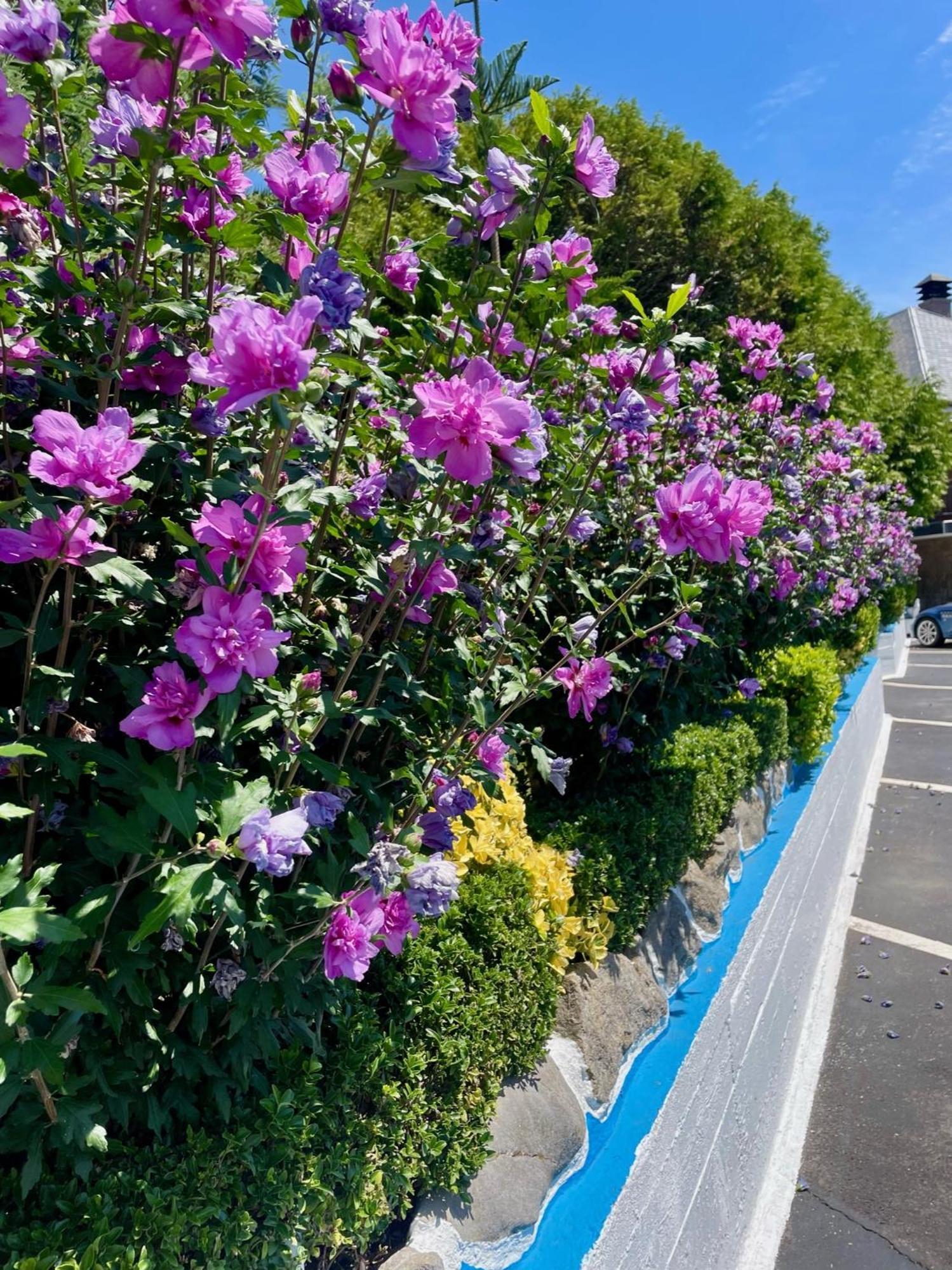 El Jardin Otel Soto de la Marina Dış mekan fotoğraf